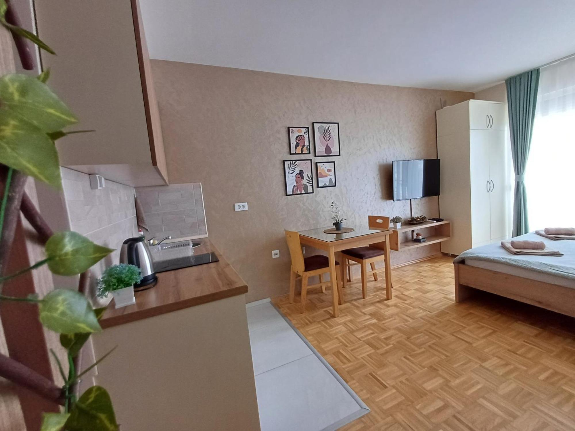 Jana Apartment Охрид Экстерьер фото